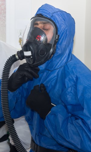Décontamination Mirabel